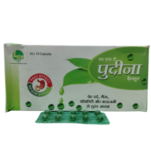 L&T Pudina Capsules – Fast Relief from Gas, Acidity & Indigestion - 1 x 10 Capsules